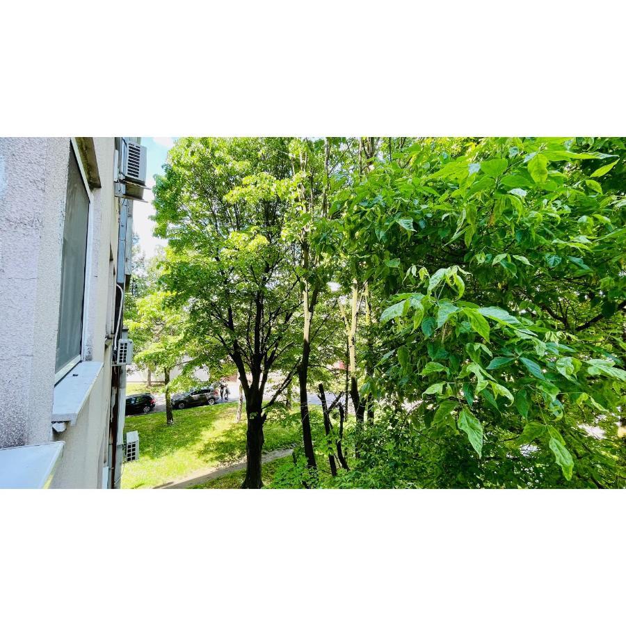 Apartmán Apartman Jelena II Sremska Mitrovica Exteriér fotografie